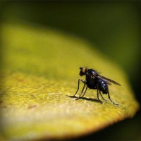 /album/v-i-amp-de-s-r-o-/photolia-a07-jpg/